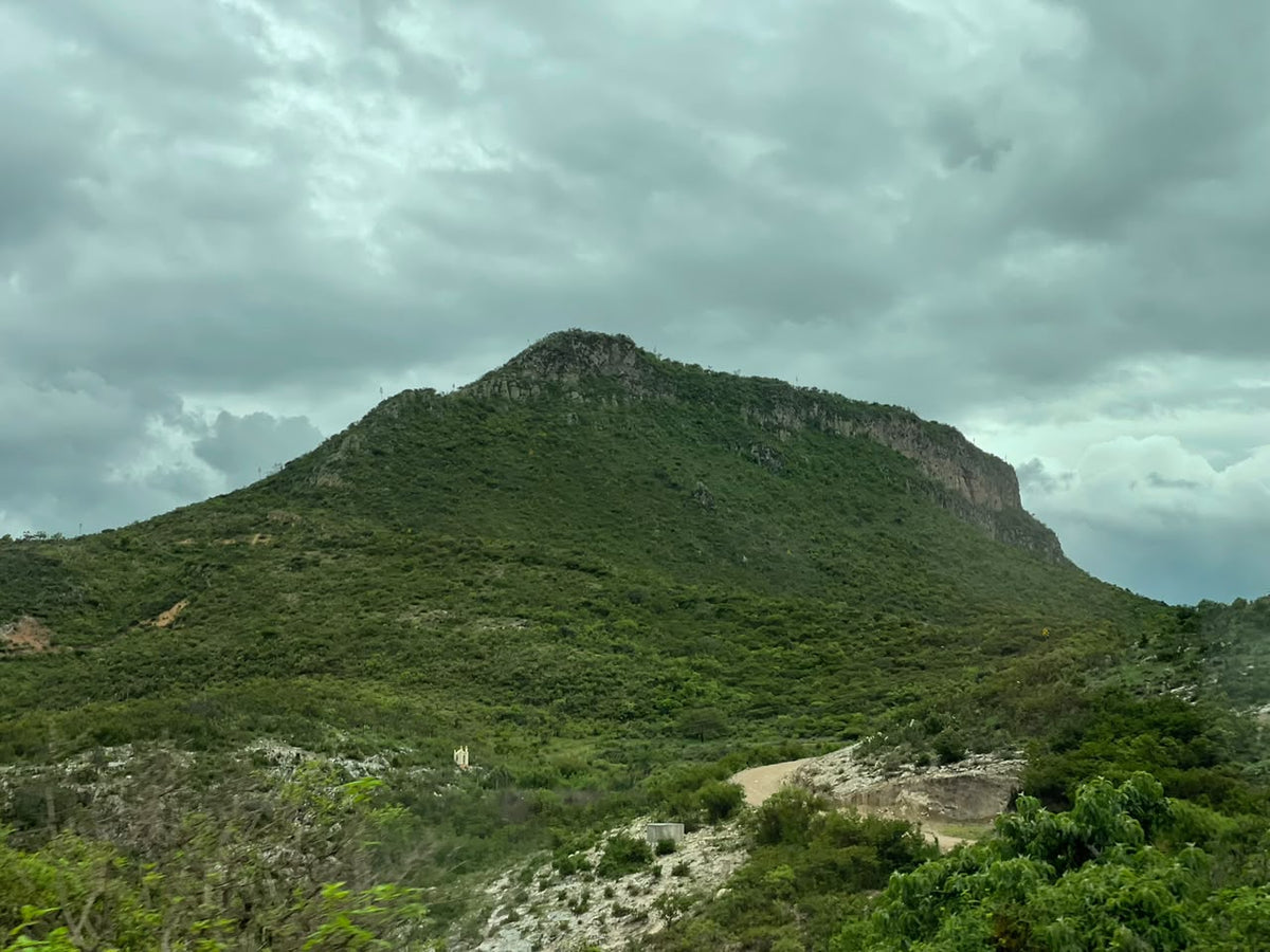 Landscape of San Luis Atolotitlán, Caltepec, Puebla